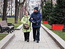 Начало декабря в Москве стало бесснежным в четвертый раз за XXI век