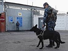 Двое опасных преступников сбежали из российского СИЗО