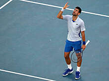 Первая ракетка мира Джокович обыграл Фритца и вышел в 1/2 финала Australian Open