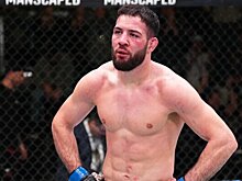 Каннонир — Имавов: где смотреть прямую трансляцию UFC Fight Night в Луисвилле 8 июня