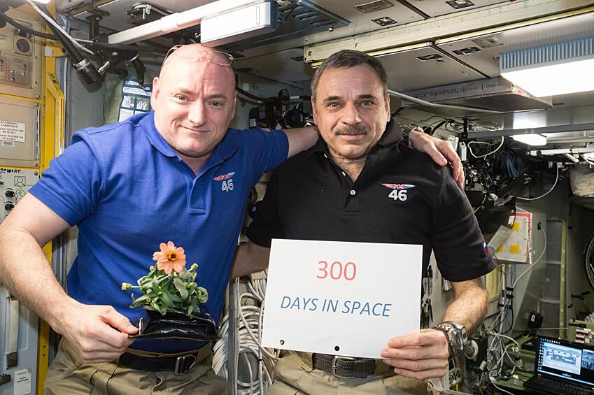 Скотт Келли и Михаил Корниенко отмечают свой 300-ый день в космосе. В руках Келли - цветок, впервые выращенный на МКС