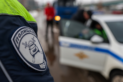 Сотрудники ДПС задержали гонщика благодаря полену