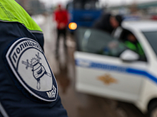 Сотрудники ДПС задержали гонщика благодаря полену