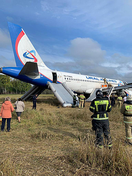 На месте аварийной посадки самолёта А320 авиакомпании «Уральские авиалинии» в Новосибирской области, 12 сентября 2023 года