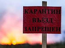 Иммунолог: нарушение карантина по птичьему гриппу приведет к пандемии