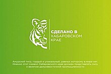 Жителям Хабаровского края предлагается принять участие в формировании бренда региона
