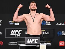 Сириль Ган — Александр Волков, UFC Вегас 30, где смотреть, когда бой, кто победит