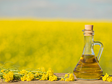 Экспорт рапсового масла из Удмуртии и Томской области в Китай вырос в 2025 году