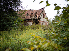 Земляные полы и крысы: шокирующая история матери и сына, которые живут в развалюхе под Калининградом (фото)