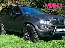 Британец продаёт BMW X5, похожий на свинью