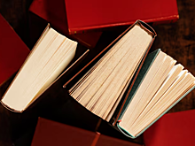 Редкую книгу Жириновского продают в Новосибирске за миллион рублей