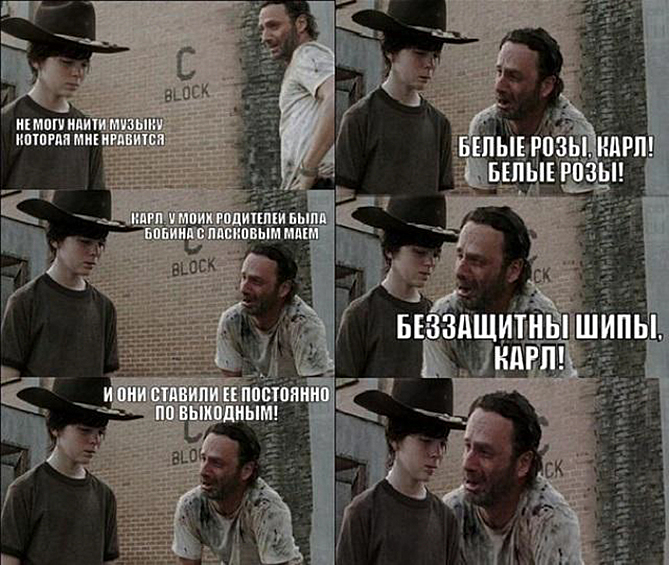 белые розы белые розы беззащитны текст