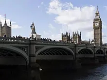 Десятки лебедей погибли на одном из участков реки Темзы в Лондоне