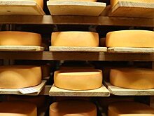 Что изменилось в России за пять лет действия продуктового эмбарго