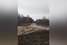 Под Новосибирском прорвало плотину: дорогу затопило бурлящими потоками воды