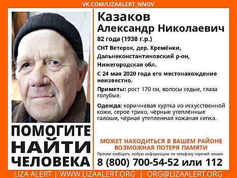 82-летний Александр Казаков пропал в Нижегородской области