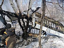 Названы возможные причины крушения Ан-2 на Камчатке