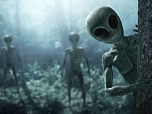 Стало известно, каким будет первый контакт с внеземной цивилизацией