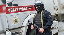 Росгвардия потратила коло 1,2 млрд рублей на авто для перевозки полицейских