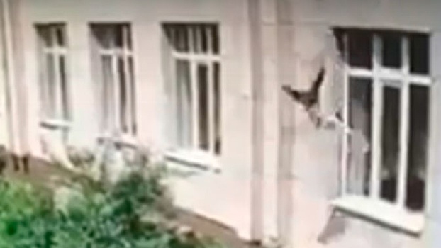 Девочка выпала из окна детского сада в Талдыкоргане