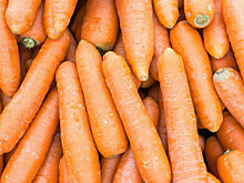 С начала года морковь подорожала на треть с лишним