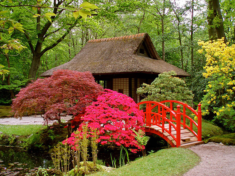 Японский сад в Нидерландах. (FRANS SCHMIT)