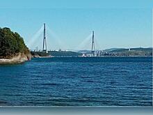 Всего 16% читинцев одобряют курортные романы