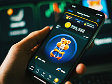 Опубликовано комбо карт в Hamster Kombat на 16-17 июня
