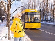 В Северске водитель автобуса сбил ребенка, посадил в салон и отвез в школу