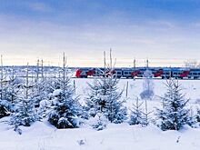 Электрички Ленинградского направления меняют расписание почти на полтора месяца