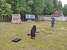 В Удмуртии определили лучших кинологов регионального УФСИН