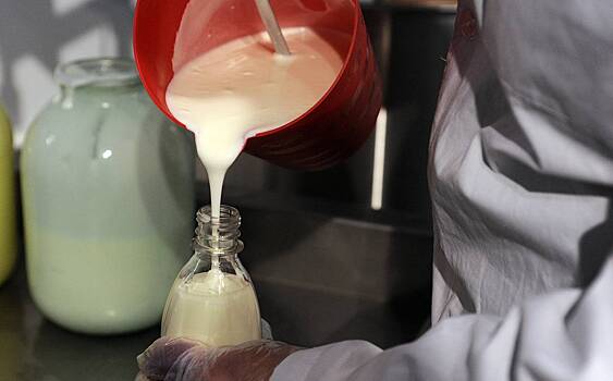 Развенчан популярный миф о защитном эффекте кефира