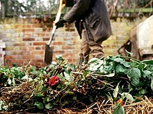 Любите работать в саду, остерегайтесь компоста