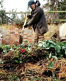 Любите работать в саду, остерегайтесь компоста