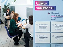 В Совфеде захотели завершить эксперимент для самозанятых в 2026 году