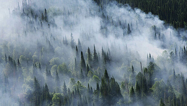 В Сибири потушили более 30 пожаров за сутки