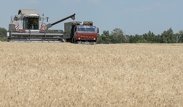 В Воронежской области уже собрали четвертый миллион тонн зерна
