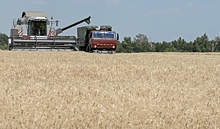 Воронежская область вошла в тройку регионов по эффективности работы агропромышленного комплекса