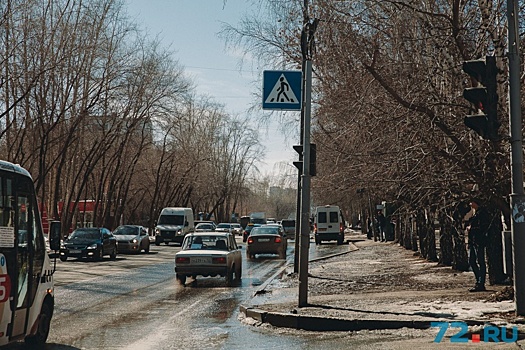 Вырубят 711 деревьев и поставят всем пластиковые окна: как изменится жизнь тюменцев после реконструкции участка Мельникайте