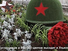 В Ульяновске объяснили закупку 1488 кустарников к празднованию Дня Победы