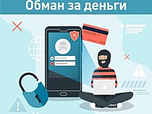 Обман за деньги: осторожно мошенники