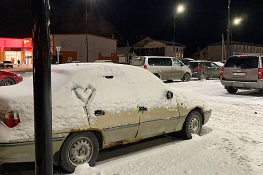 Курганская Госавтоинспекция предупредила водителей о мокром снеге на дорогах