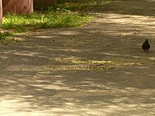 На ул. Циолковского не заменили асфальт, помнящий времена Брежнева