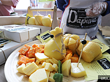 Сыровар Сирота проведет в Кургане семинар по импортозамещению