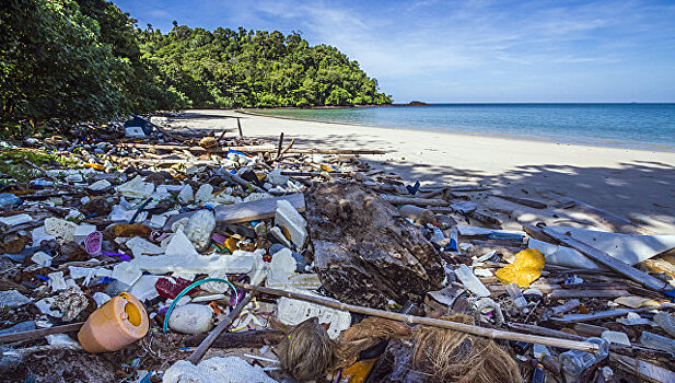 Подсчитано количество созданного пластикового мусора