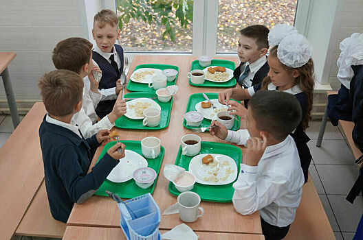 В России подвели итоги мониторинга школьного питания