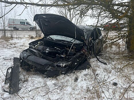 На дороге Курск-Поныри в ДТП погибли два человека