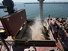 Координационный центр по вопросу зерна в Стамбуле возглавит турецкий адмирал