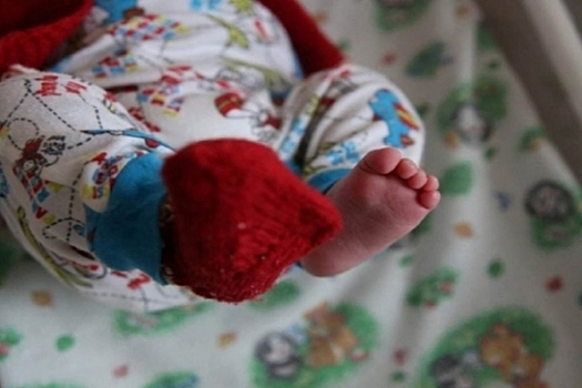 В Волгоградской области 1110 многодетных семей в 2025 году получили выплаты