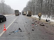 Два человека пострадали в аварии с газелью в Шацком районе